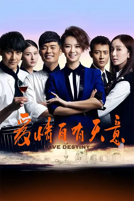 爱情自有天意(2013)海报