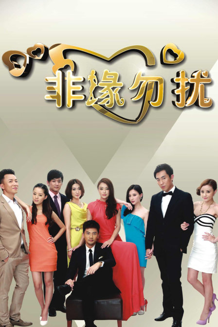 非缘勿扰DVD版(2013)海报