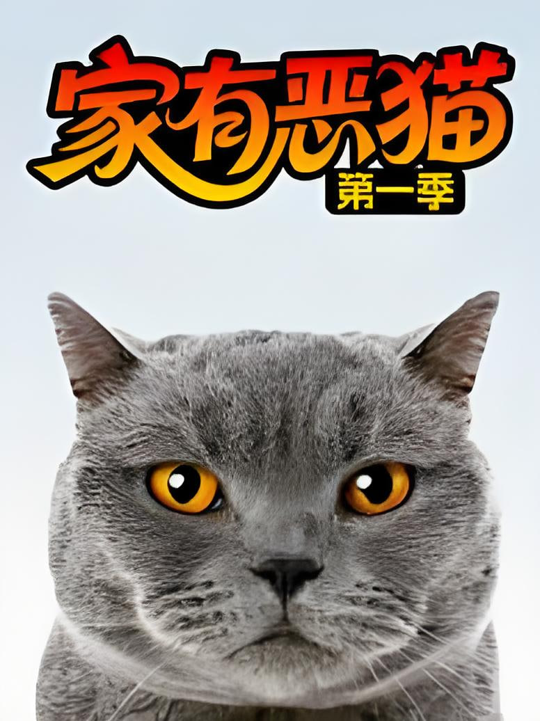 家有恶猫 第一季(2011)海报