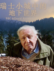 瑞士小城中的地下世界(2021)海报