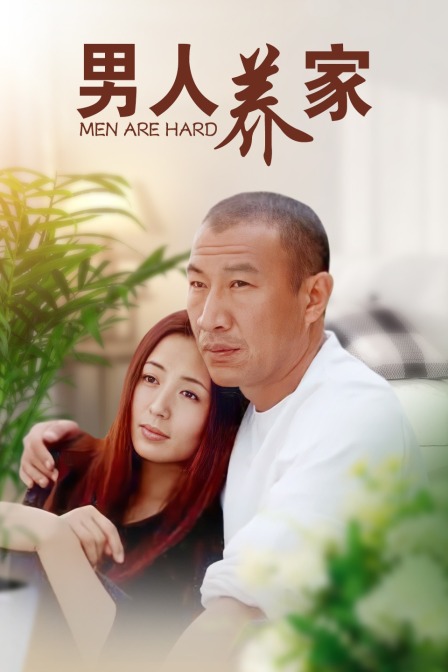 男人养家(2008)海报