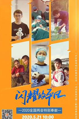 闪耀的平凡(2020)海报