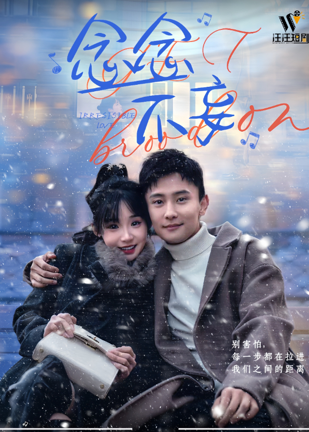 念念不妄海报