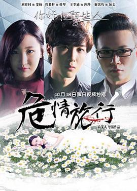 危情旅行(2016)海报
