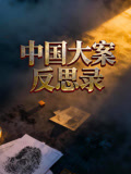 中国大案反思录(2026)海报