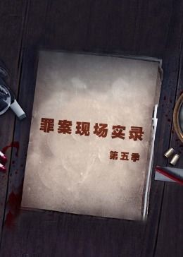 罪案现场实录第五季(2019)海报