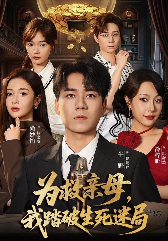为救亲母,我踏破生死迷局(2026)海报