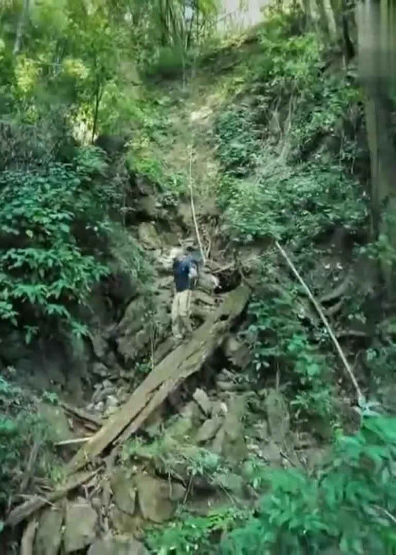 荒野求生专栏海报