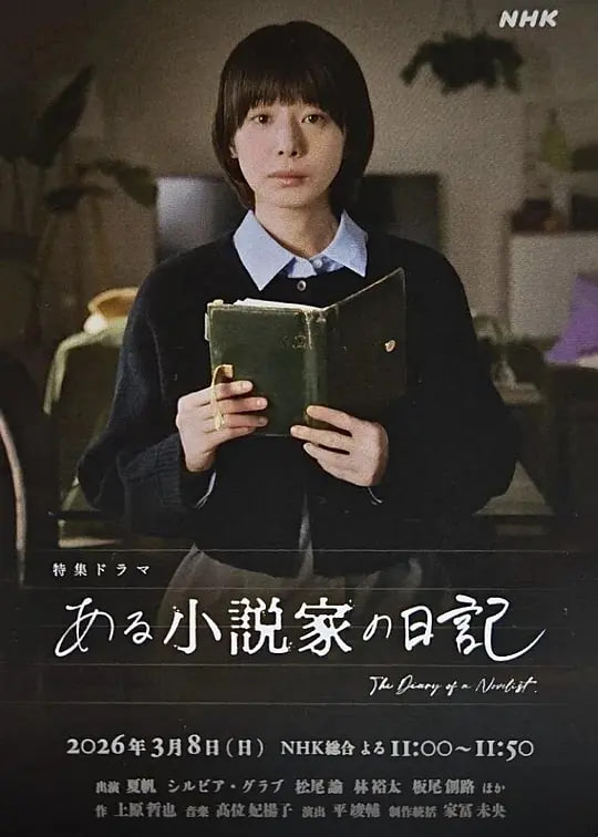 某小说家的日记(2026)海报