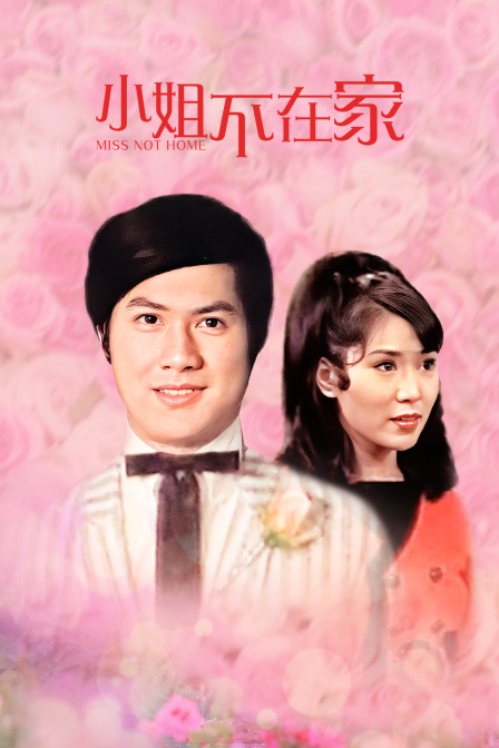 小姐不在家(2012)海报