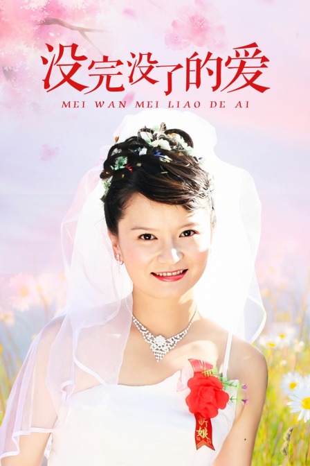 没完没了的爱(2009)海报