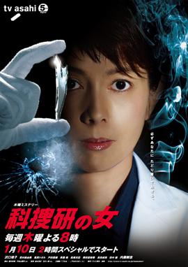科搜研之女第12季(2013)海报