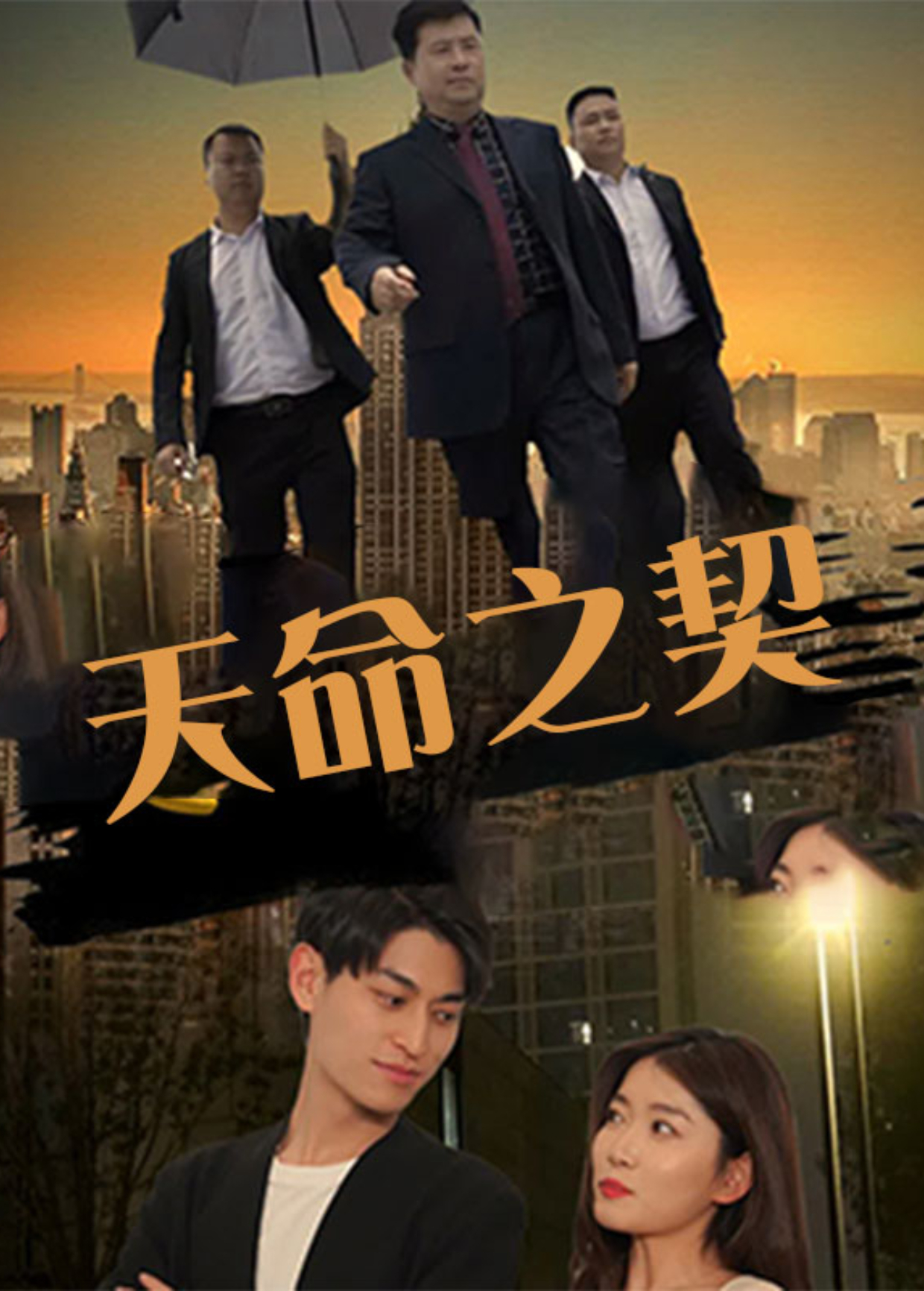 天命之契海报