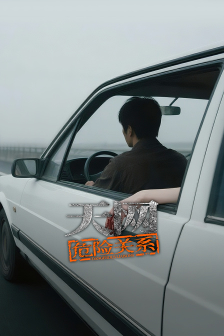 天网:危险关系(2026)海报