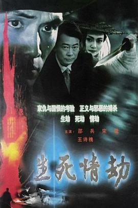 生死情劫(2003)海报