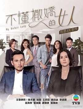 不懂撒娇的女人国语(2017)海报
