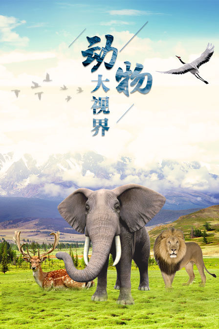 动物大视界(2019)海报
