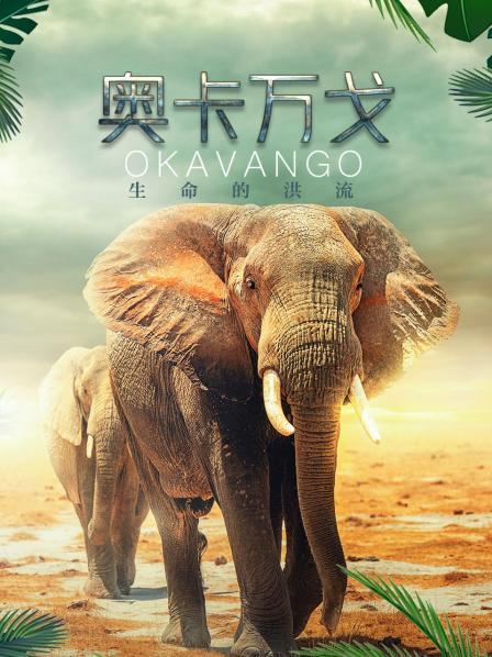 奥卡万戈:生命的洪流(2021)海报