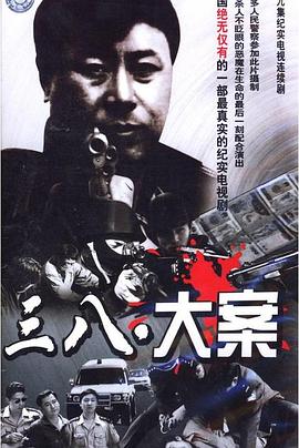 沈阳三八大案侦破纪实(2009)海报