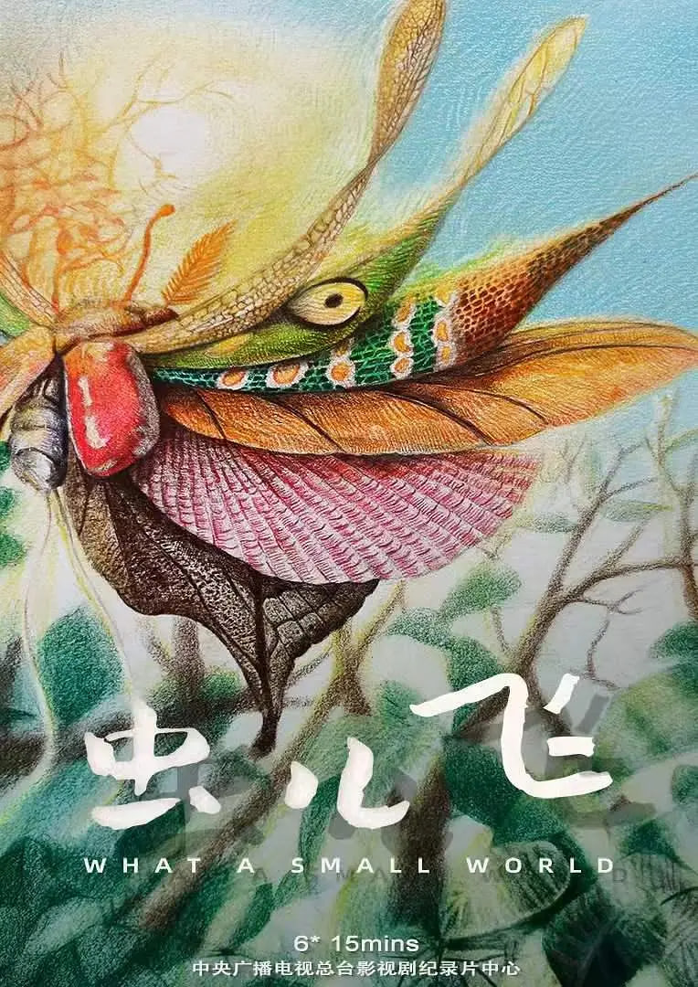 虫儿飞(2026)海报