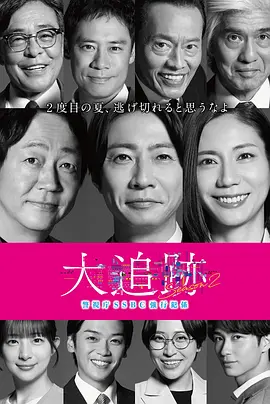 大追踪〜警视厅SSBC强行犯系〜 第二季(2025)海报