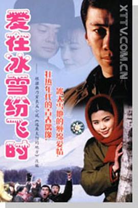 爱在冰雪纷飞时(2000)海报