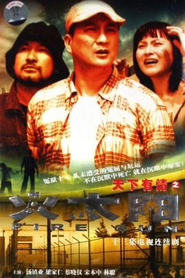 天下有情之火太阳国语(2005)海报