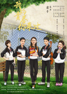 我的青春你来过(2017)海报