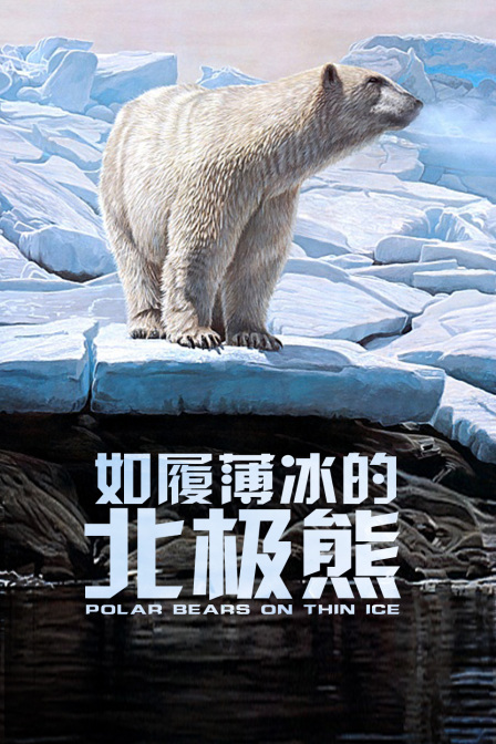 如履薄冰的北极熊(2022)海报