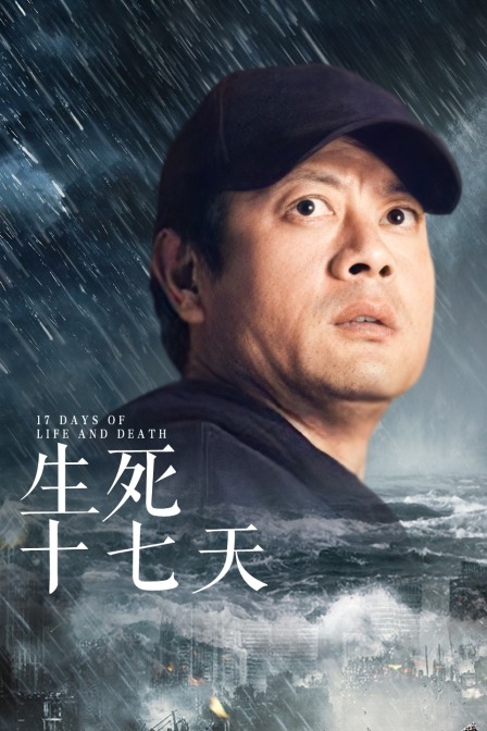 生死十七天(2010)海报