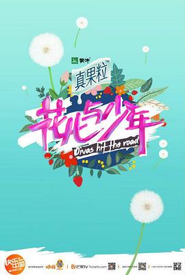 花儿与少年 第四季(2014)海报
