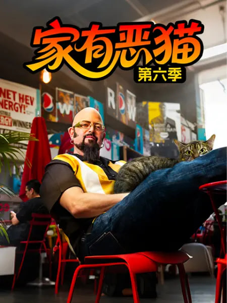家有恶猫 第六季(2015)海报