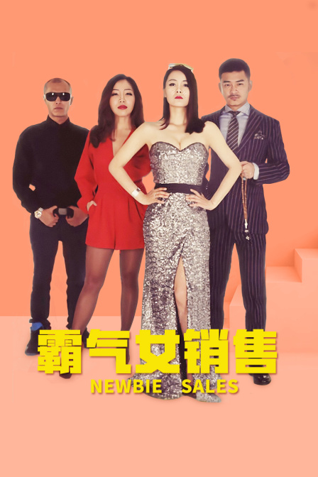 霸气女销售(2014)海报