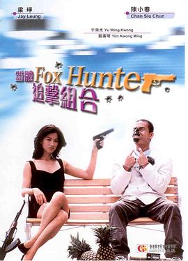 错体追击组合粤语(1995)海报
