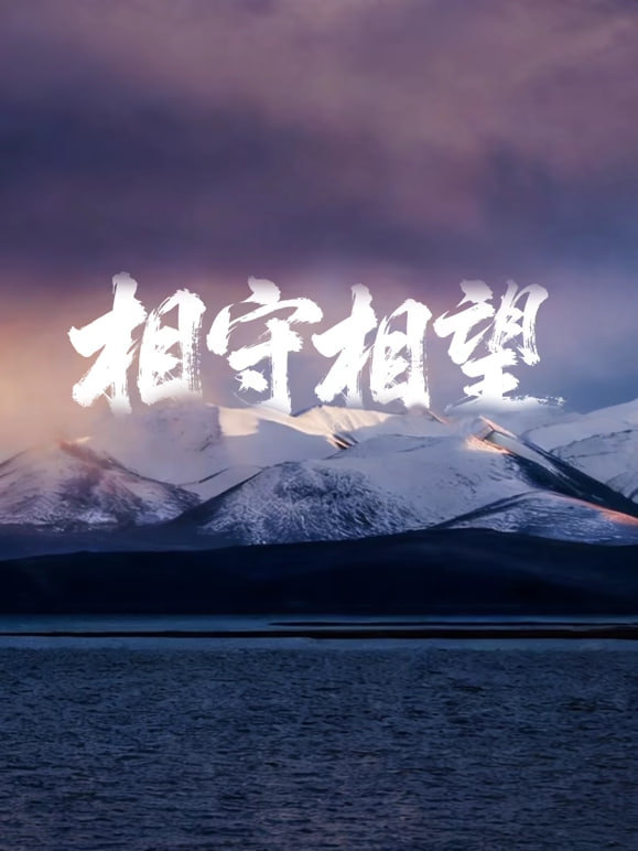 相守相望暨守护哈拉湖行动(2026)海报