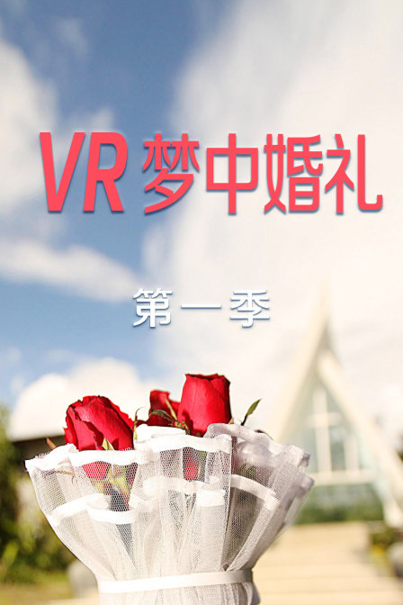 VR梦中婚礼第一季(2017)海报
