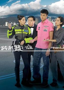 情越双白线国语(2010)海报
