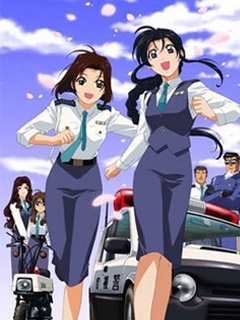 逮捕令第二季(1996)海报