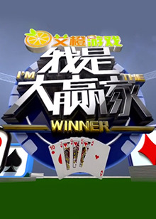 我是大赢家2012(2012)海报