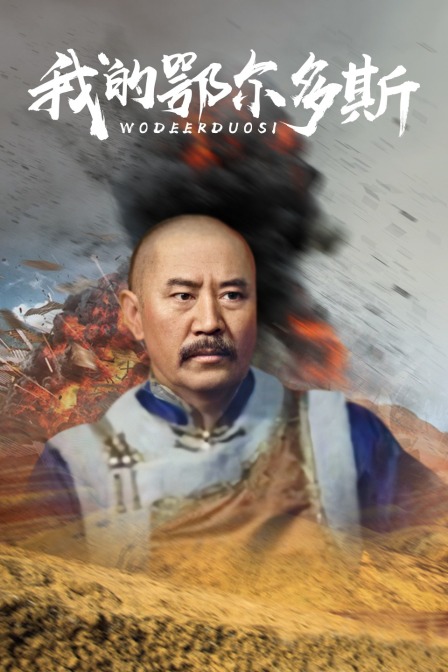 我的鄂尔多斯(2013)海报