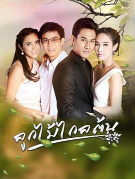 劫缘2016(2016)海报