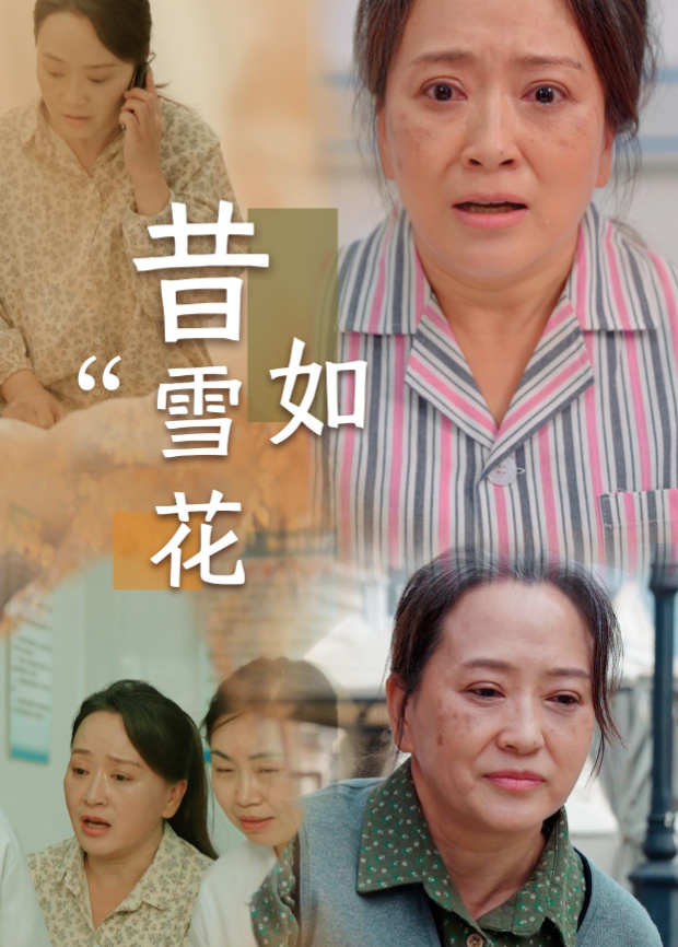 昔如雪花海报