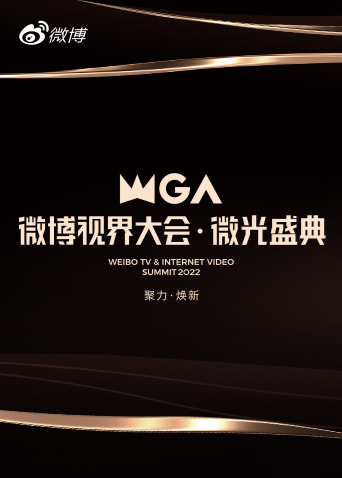 微博视界大会·微光盛典(2022)海报