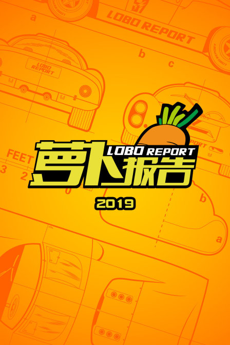 萝卜报告2019(2019)海报