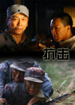 抗击(2011)海报