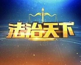 法治天下(2015)海报