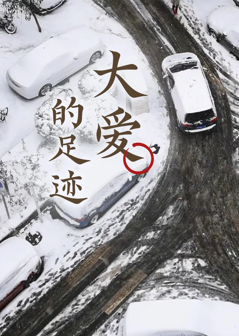 大爱的足迹海报