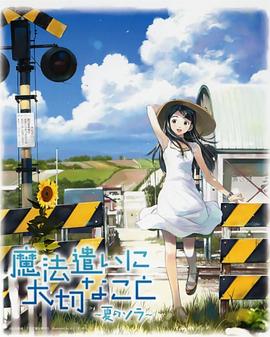 魔法使的注意事项:夏之空(2008)海报