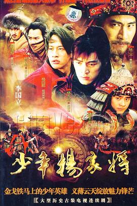 少年杨家将(2007)海报