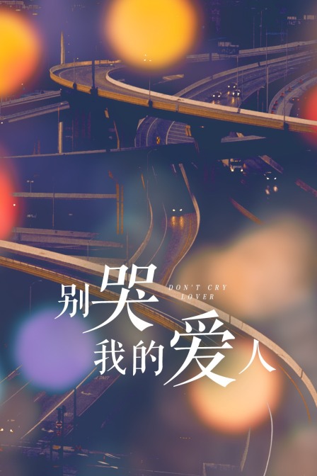 别哭我的爱人(2011)海报